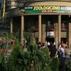 Kliknij aby powiększyć