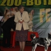 Kliknij aby powiększyć
