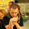 Kliknij aby powiększyć