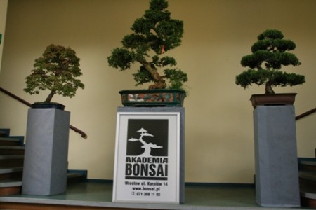 Lista miniaturek