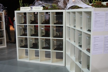 Lista miniaturek