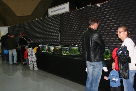 Lista miniaturek
