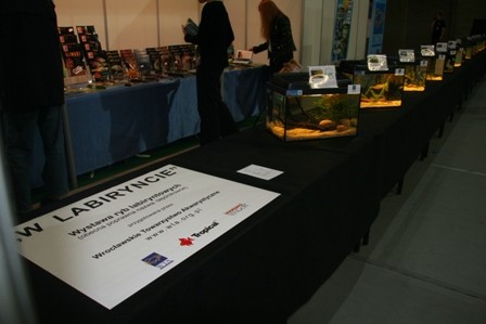 Lista miniaturek