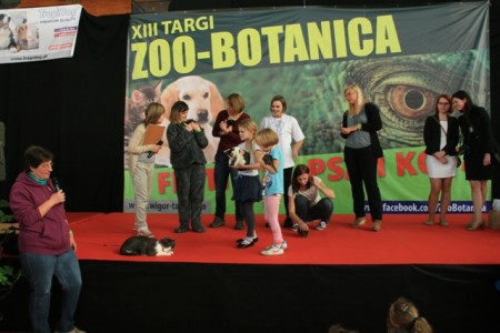 Lista miniaturek